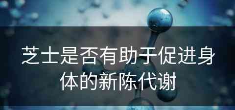 芝士是否有助于促进身体的新陈代谢